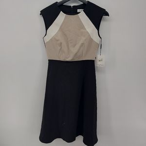 Calvin Klein Colorblock Midi Fit and Flare Dress Size 2P